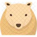 Urso  Ícone