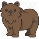 Urso  Ícone