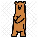 Urso  Ícone