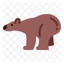 Urso  Ícone