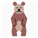 Urso  Ícone