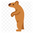 Urso  Ícone