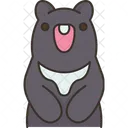 Urso  Ícone