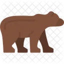 Urso  Ícone