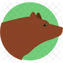 Urso Animal Marrom Icon