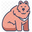 Urso Urso Animal Icon