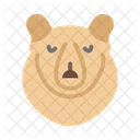 Urso Polar Animal Urso Icon