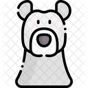 Urso Polar Urso Mamifero Icon