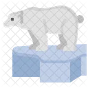 Urso polar  Icon