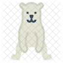 Urso polar  Icon