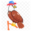 USA Eagle  Icon