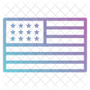 Usa flag  Icon