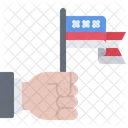Usa Hand Flag  Icon