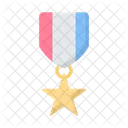 Une médaille  Icône