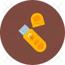 Usb Protected Usb Encrypted Data Icon