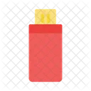 Usb Flashdrive Data Icon