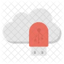 Usb Cloud Icon