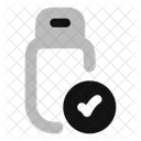 Usb-connected-  Icon