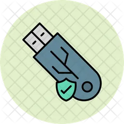 Usb secure  Icon