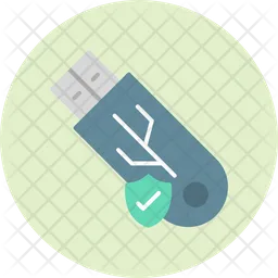 Usb secure  Icon