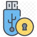 Usb Security Drive Computer Icon
