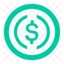 Usdc Ltc Digital Money Icon
