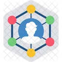 User network  Icon