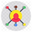 User Networking Candidate Networking Employee Networking Icon