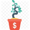 Argent Plante Dollar Icon