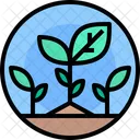 Plante Eco Ecologie Icône
