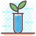 Plante Eco Ecologie Icône