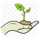 Plante Eco Ecologie Icône