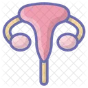 Utero Ovario Sistema Reprodutor Ícone
