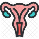 Utero Ginecologia Reprodutiva Ícone