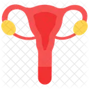 Utero Ovario Sistema Reprodutor Ícone