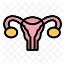 Utero Ovario Ovarios Ícone