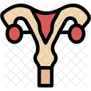 Utero Utero Sistema Reprodutor Ícone
