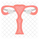 Utero Utero Orgaos Femininos Ícone