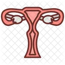 Utero Utero Orgaos Femininos Ícone