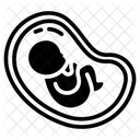 Utero Barriga Abdomen Icon
