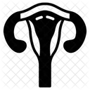 Utero Orgao Reprodutor Orgao De Gestacao Icon