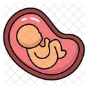 Uterus Belly Abdomen Icon