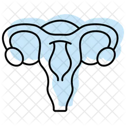 Uterus  Icon