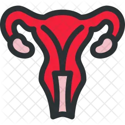 Uterus  Icon