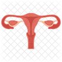 Uterus Anus Glandes Icône