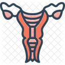 Uterus Foetus Medical Icône