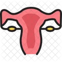 Gynecology Reproductive Uterus Icon