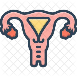 Uterus  Icon