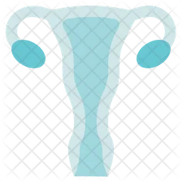 Uterus  Icon