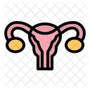 Uterus Ovary Ovaries Icon